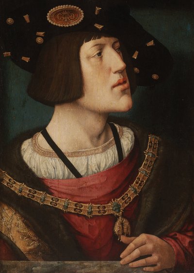Portrait of Charles V by Barend van Orley